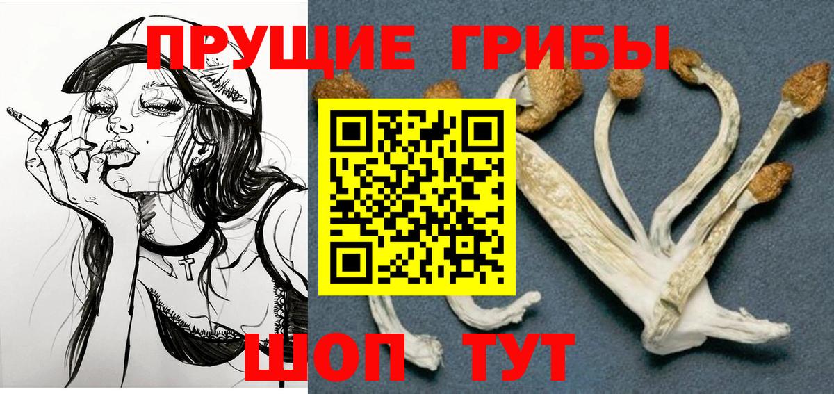 Псилоцибиновые грибы ЛСД Асино